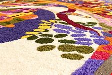  infiorata