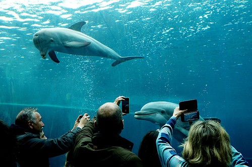  l acquario di genova