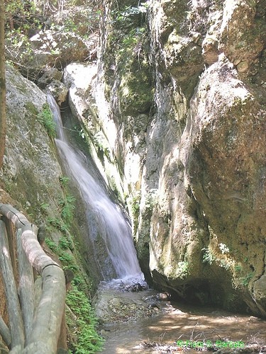  la valle delle farfalle