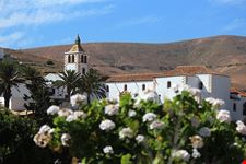  betancuria