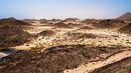  parco naturale los lobos