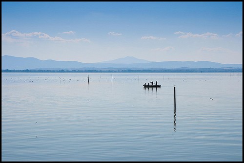  l isola polvese