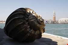  antichita  la conchiglia galleria d arte la