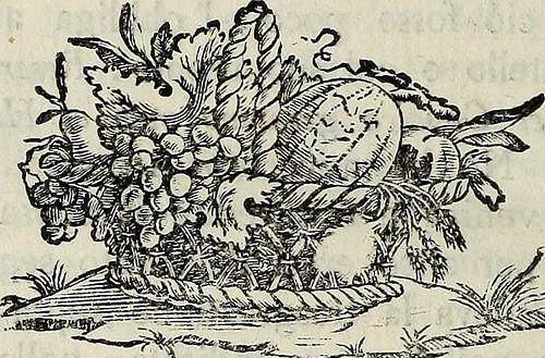  cose d altri tempi di dino languzzi sas