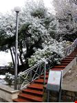  parco naturale san romolo e monte bignone