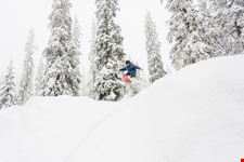  zeppelin snowpark