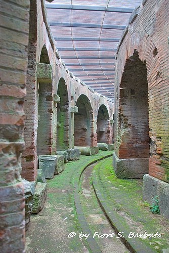  anfiteatro campano