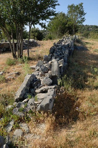  zominthos