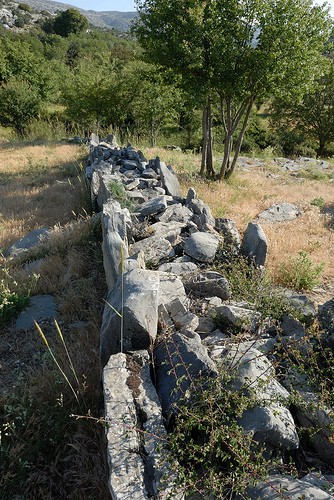  zominthos