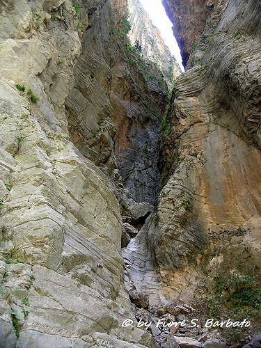  gole di samaria