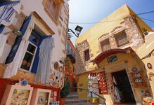  la via della pelle