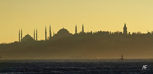  moschea blu