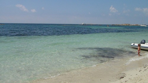  isla de espalmador