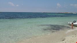  isla de espalmador