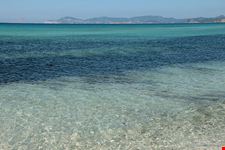  platja llevant