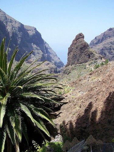  masca