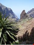  masca
