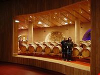 cantina Domodimonti Marche Italia