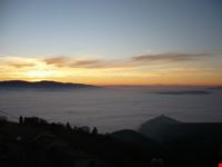 under fog
