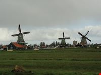 Zanze Schans