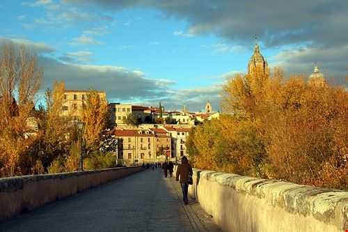  Salamanca Manuel Martin Vicente - Attribution License (http://creativecommons.org/licenses/by/2.0/) Manuel Martin Vicente