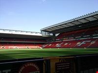  anfield