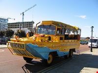  yellow duckmarinetour
