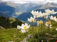  trekking sulle alpi