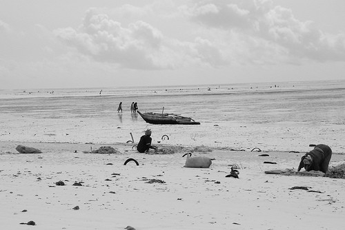  bwejuu beach