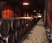  wine cellar of strasbourg city hospital