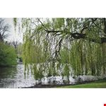  minnewater