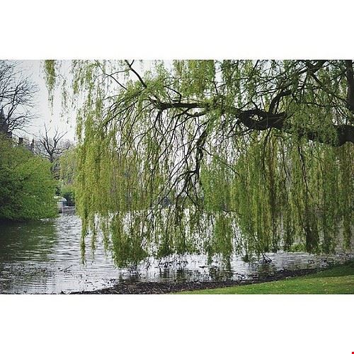 Minnewater - Viaggio Vero - Viaggio Vero - Attribution-NonCommercial-ShareAlike (http://creativecommons.org/licenses/by-nc-sa/2.0/)