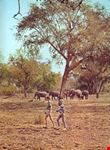 Parco Nazionale del South Luangwa