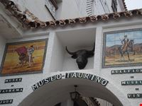  museo municipale taurino
