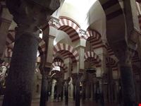  mezquita