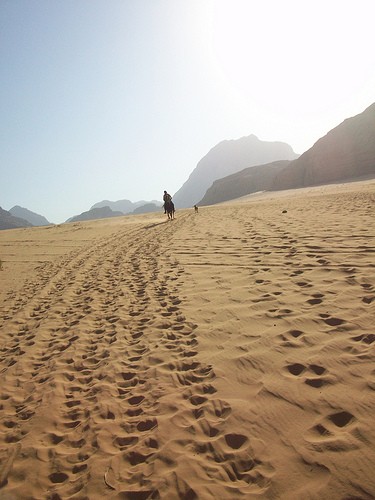  gita nel deserto