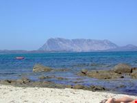  cala d ambra