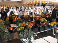  il mercato dei fiori