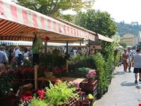  il mercato dei fiori