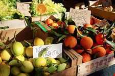 cours saleya