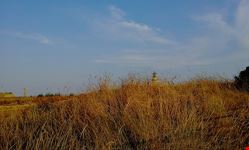  capo colonna