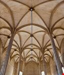  llotja