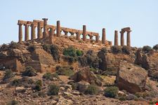  il museo e la colonna di hera lacina