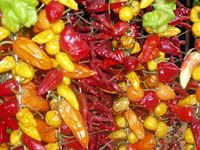  la cucina mallorquina