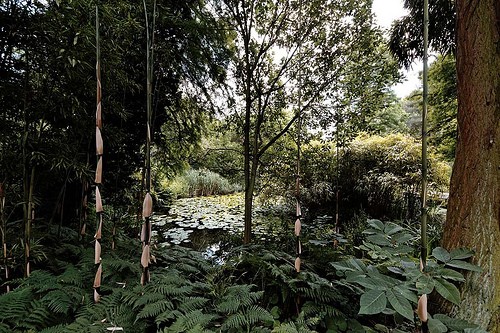  giardino botanico universitario