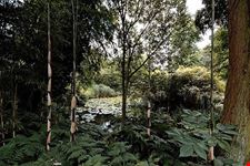  giardino botanico universitario