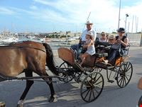  passeig maritim