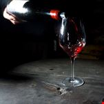  vino vip