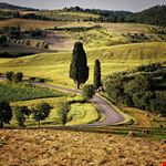  villa borbone