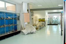  museo del mare